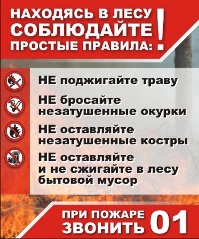Памятка: Пожарная безопасность в весенне-летний период