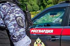 Московские росгвардейцы задержали рецидивиста за попытку повторной кражи алкоголя