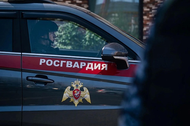 В Москве росгвардейцы задержали водителя разыскиваемого автомобиля