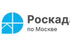 Более 35 млн выписок из ЕГРН выдано в Москве в первой  половине 2025 года